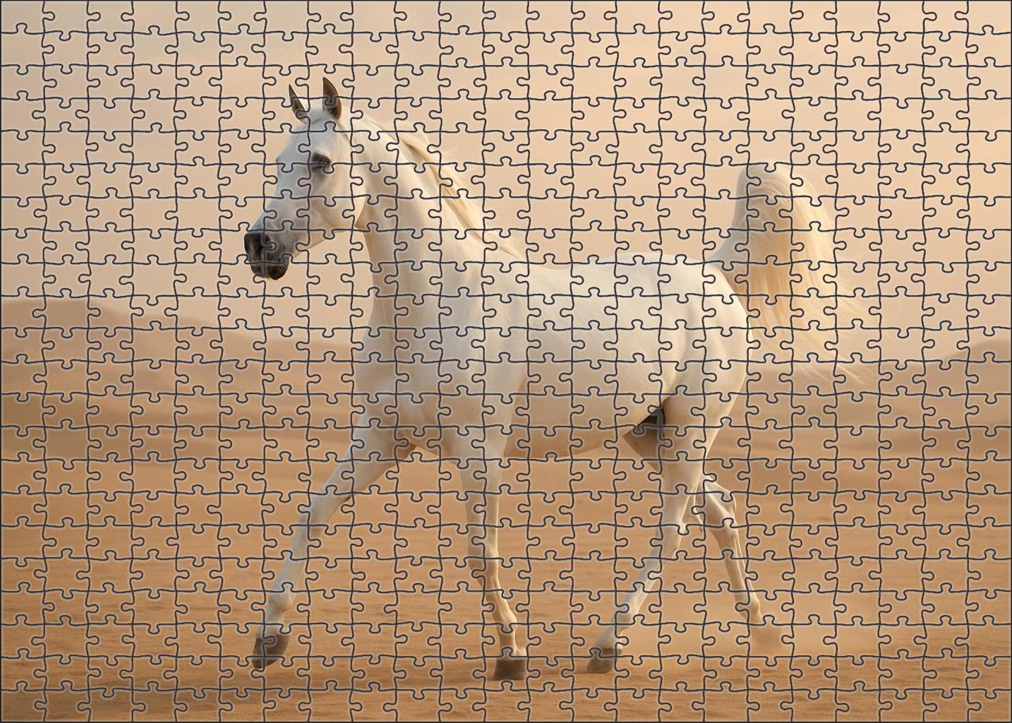 Pearl Star Gazelle Delicate White Arabian Mare Challenging Puzzles