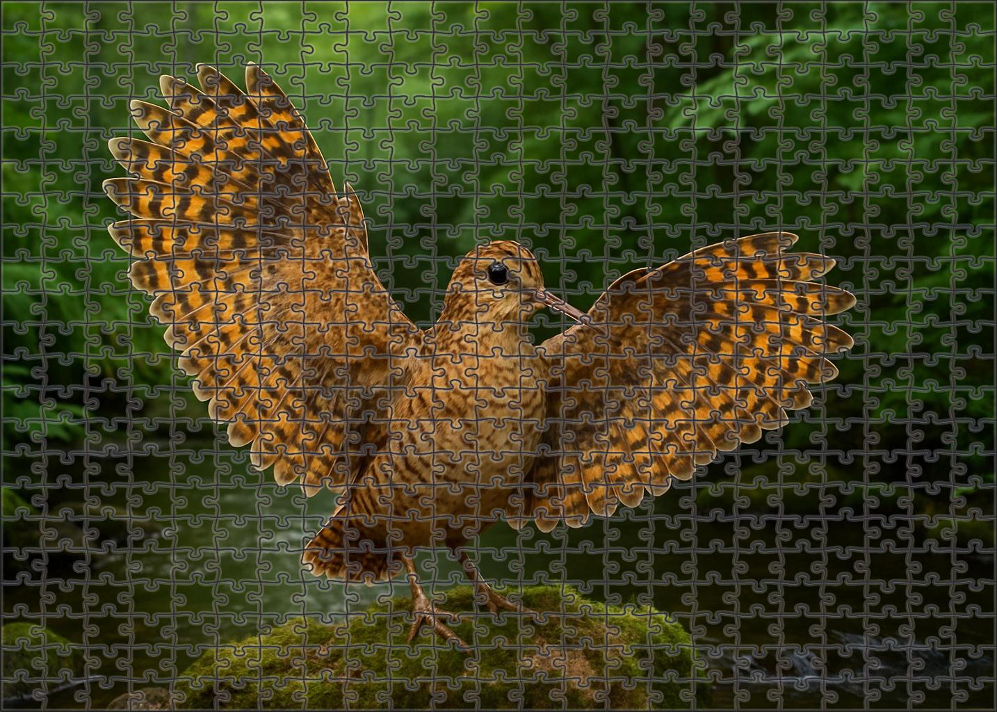 Sunbittern Patterned Dancer Of Riparian Forests Family Puzzles