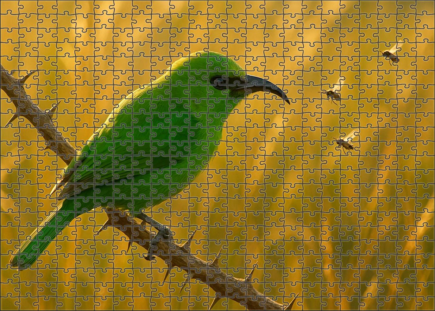 Green Bee-eater Emerald Precision Hunter Family Puzzles