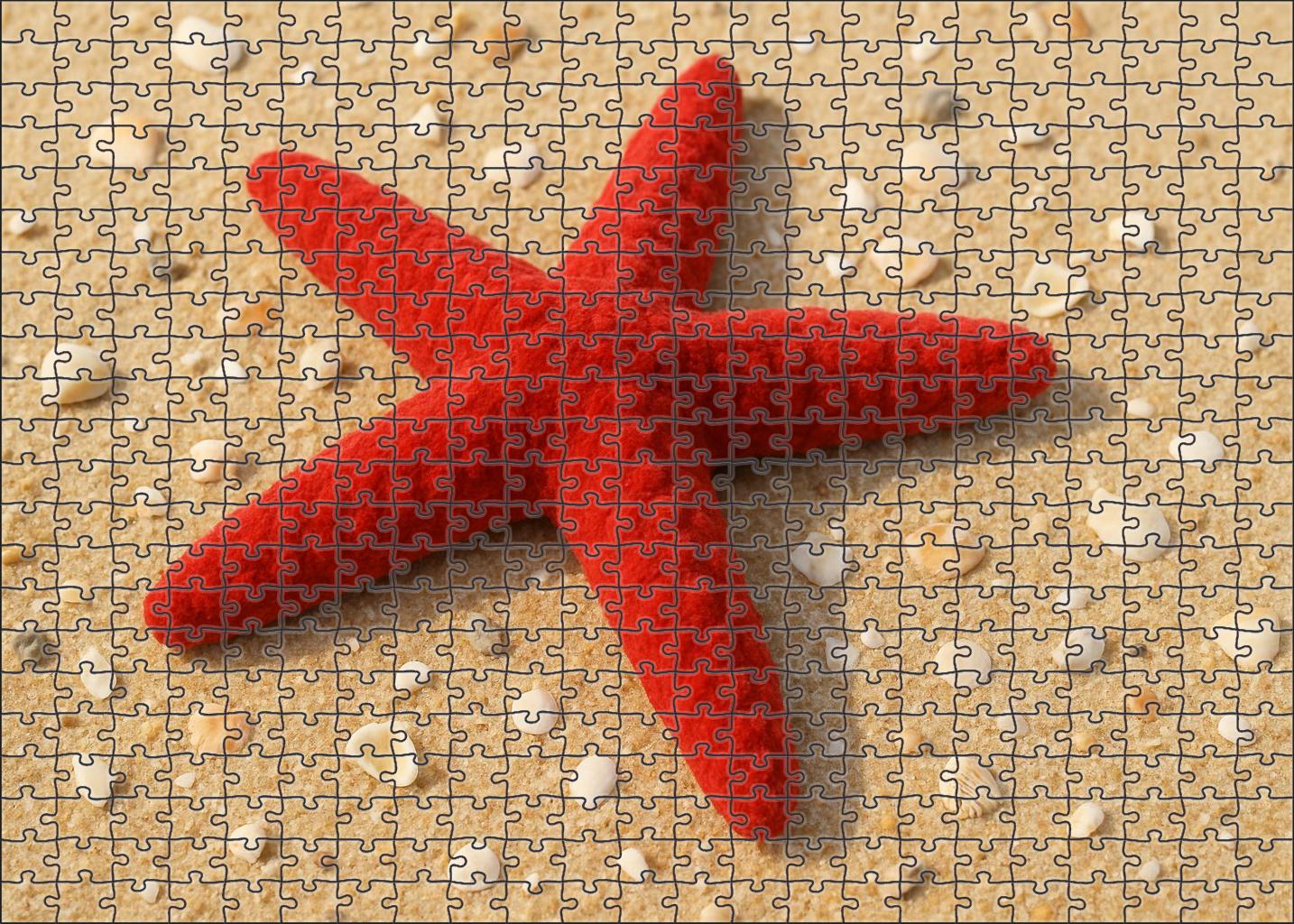 Crimson Velvet Starfish Soft-texured Seafloor Wanderer Family Puzzles