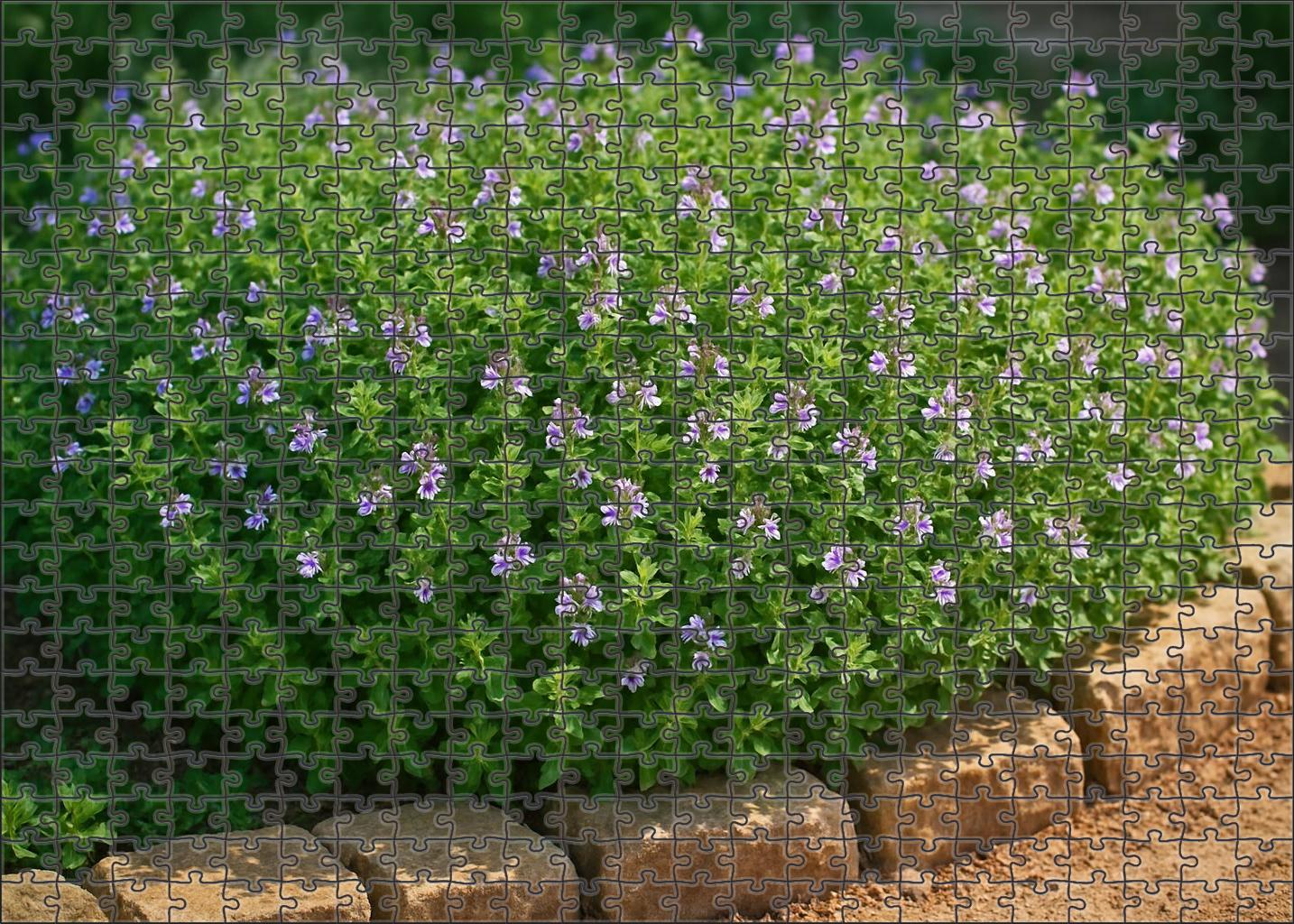 Rustic Herb Garden Bed Aromatic Greens With Blooming Highlights Family Puzzles