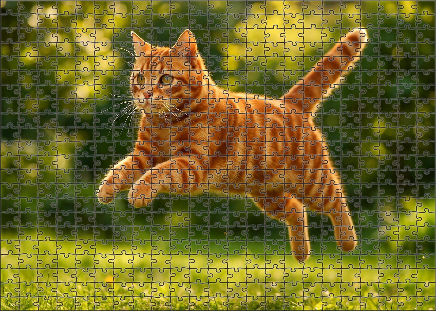 Copper Twister Spiraled Red Tabby With Spirited Charm Premium Puzzle Pieces