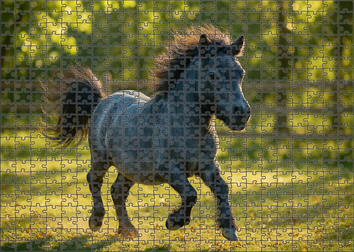 Sapphire Glimmer Pony Petite Blue Roan With Spirited Charm Puzzle Collection