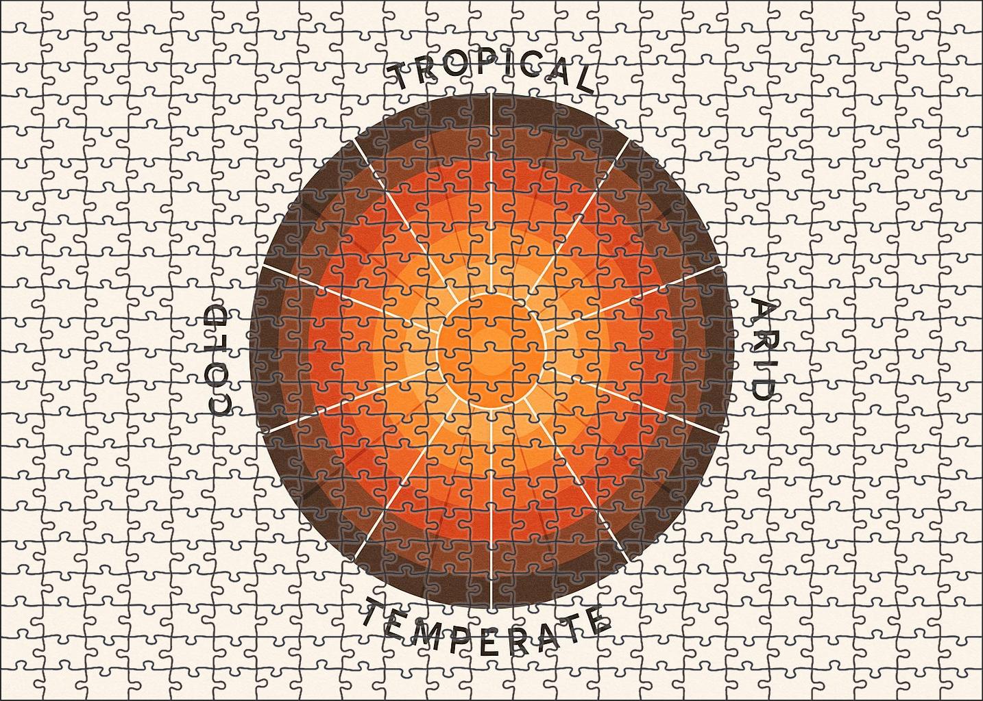 Abstract Climate Zone Radial Chart 50 Piece Puzzle