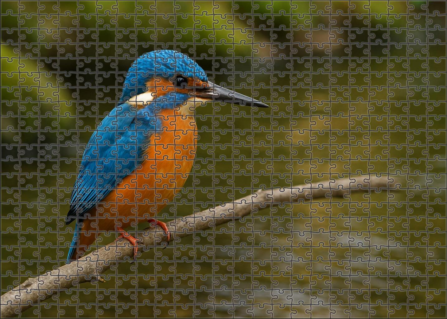 Azure Kingfisher Brilliant River Jewel Custom Jigsaw Puzzle
