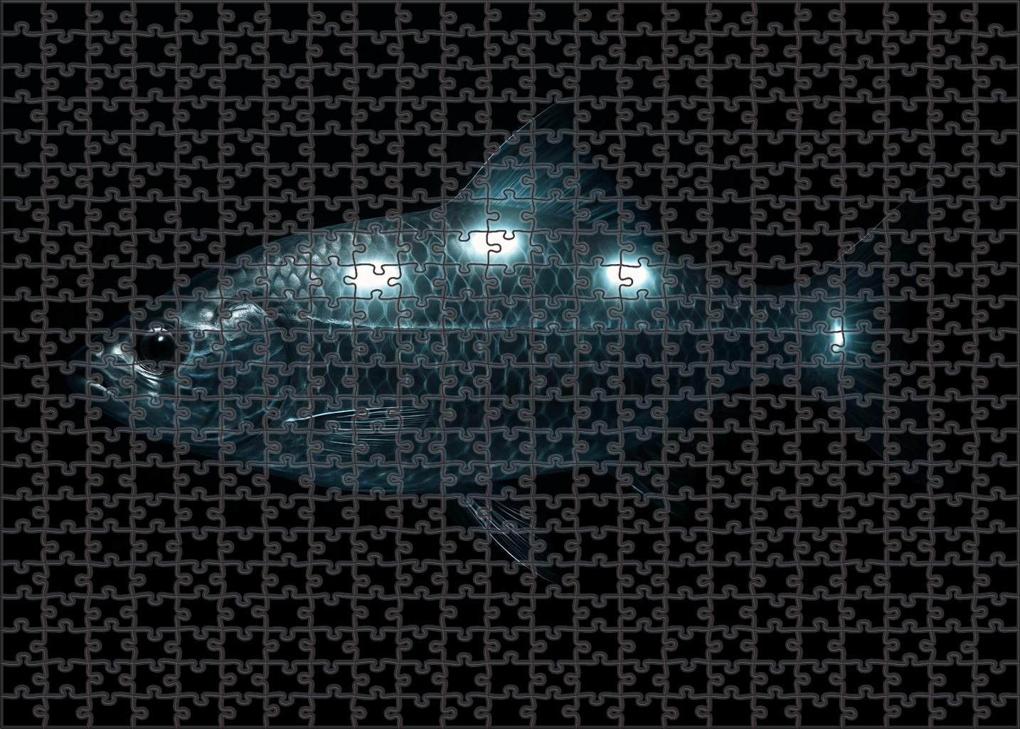 Silverback Ripplefish Deep-water Dweller With Hypnotic Scale Patterns Puzzle Fun