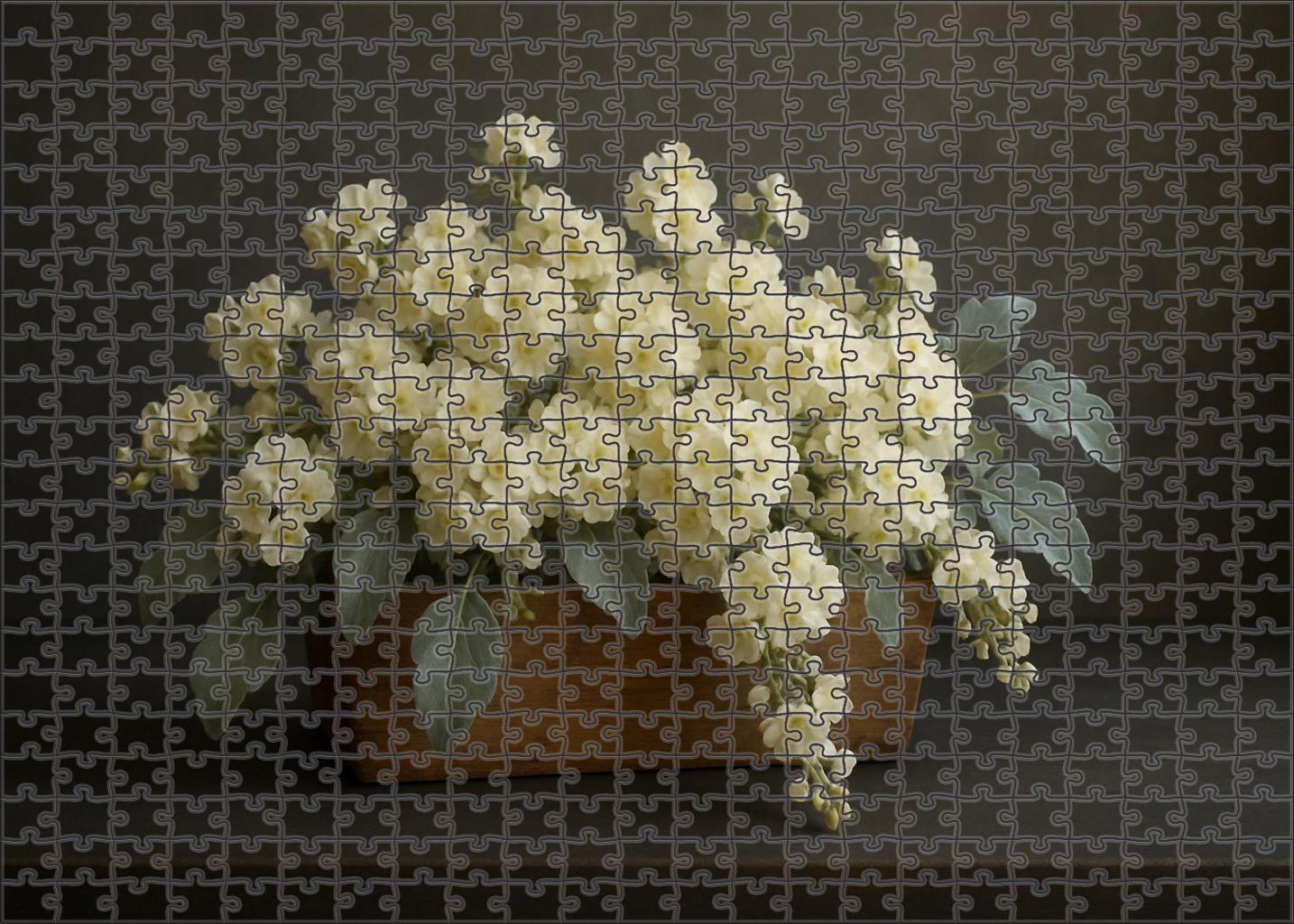 Ivory Cascade Centerpiece 200 Piece Puzzle