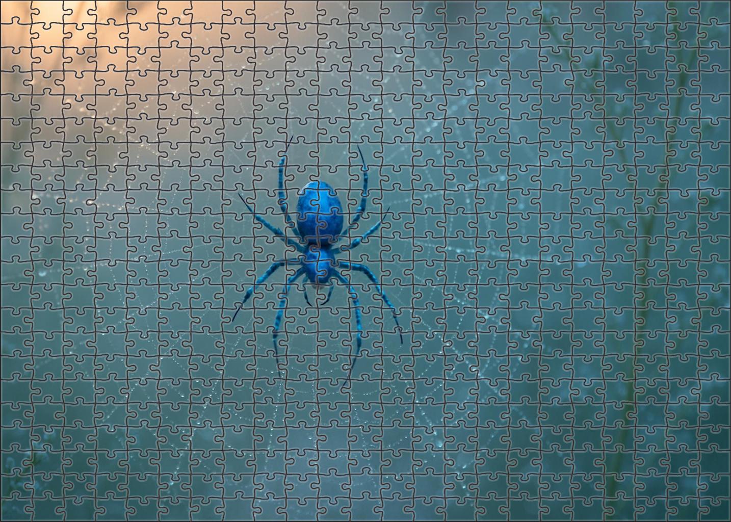 Cerulean Mist Weaver Elegant Spider With Translucent Web And Iridescent Body 200 Piece Puzzle