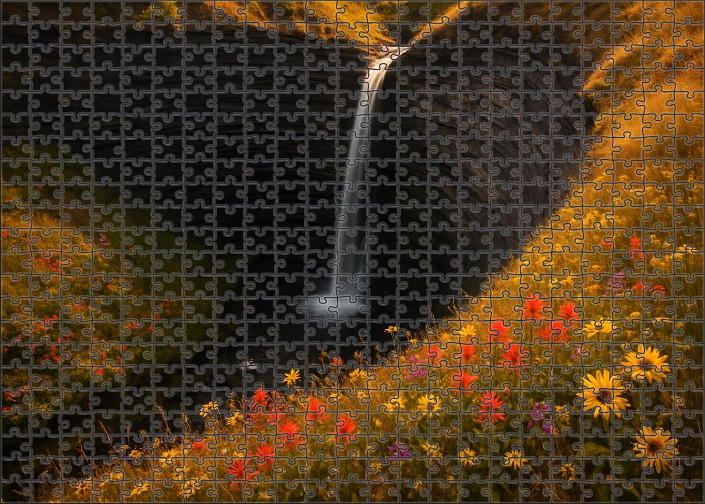 Serpentine Flow Drop Puzzle For Adults