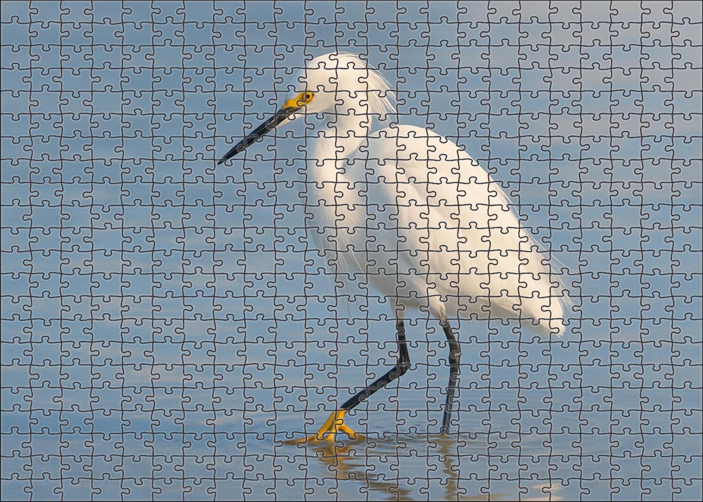 Snowy Egret Elegant Shoreline Stalker Puzzle Fun