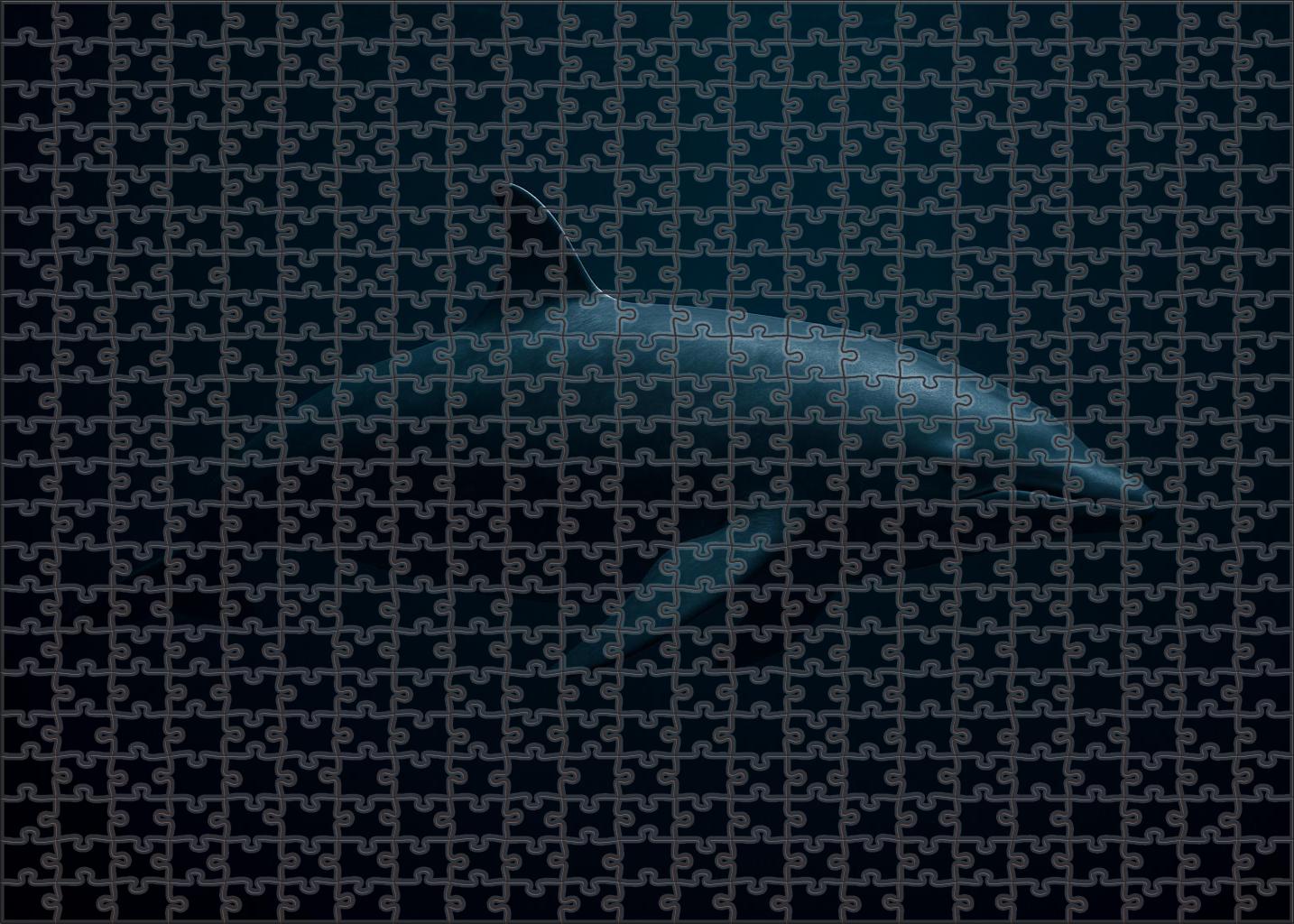 Dusky Fin Whaler Deep-water Solitary Cetacean Puzzle Fun