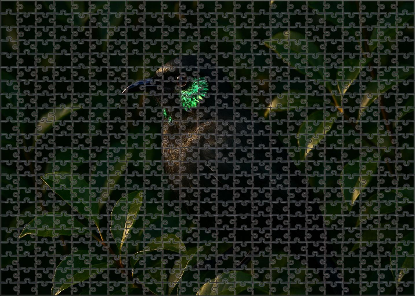 Velvet Asity Exotic Forest Gem 50 Piece Puzzle