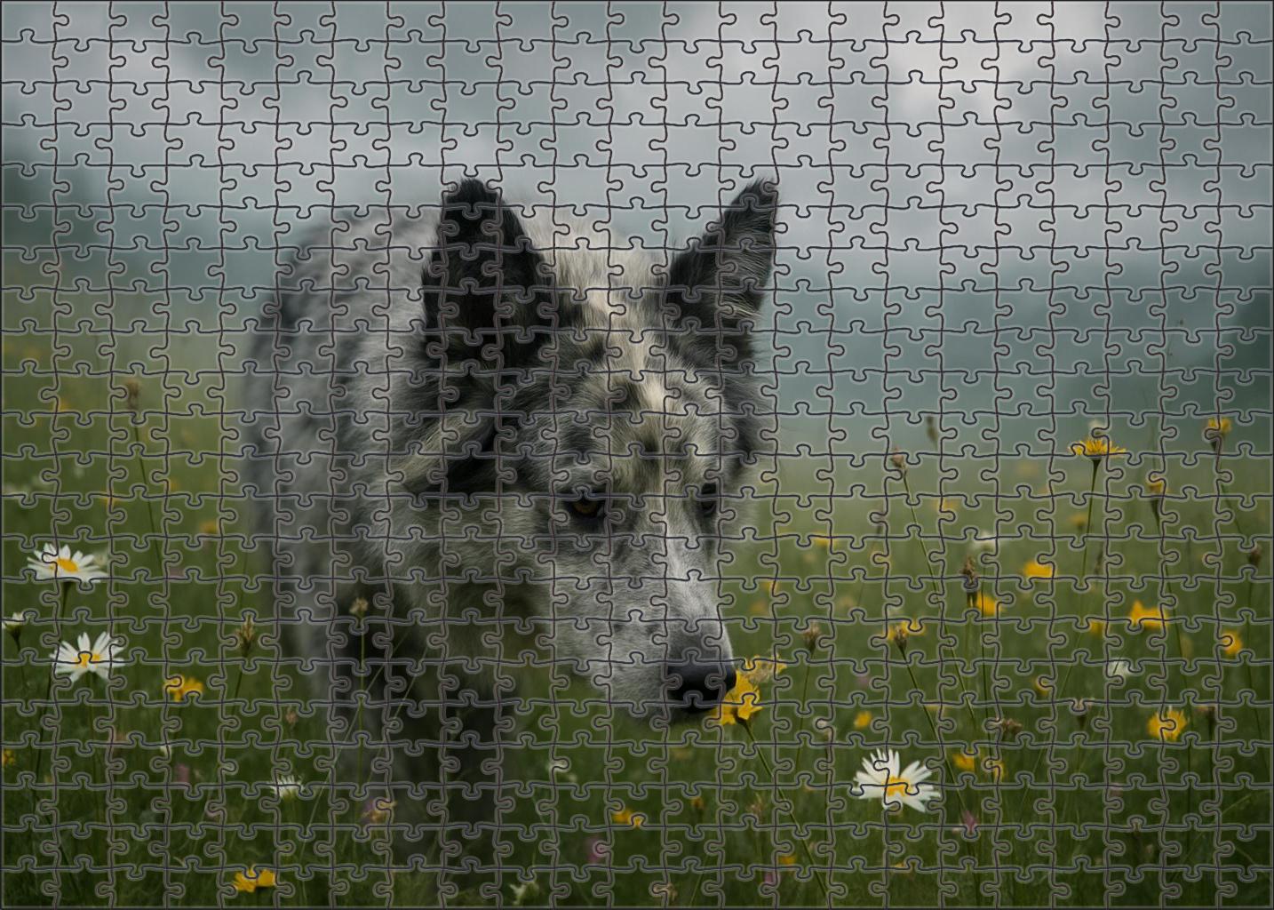 Marble Cloud Fluffy Mottled Scent Hound With Persistent Nose Custom Jigsaw Puzzle
