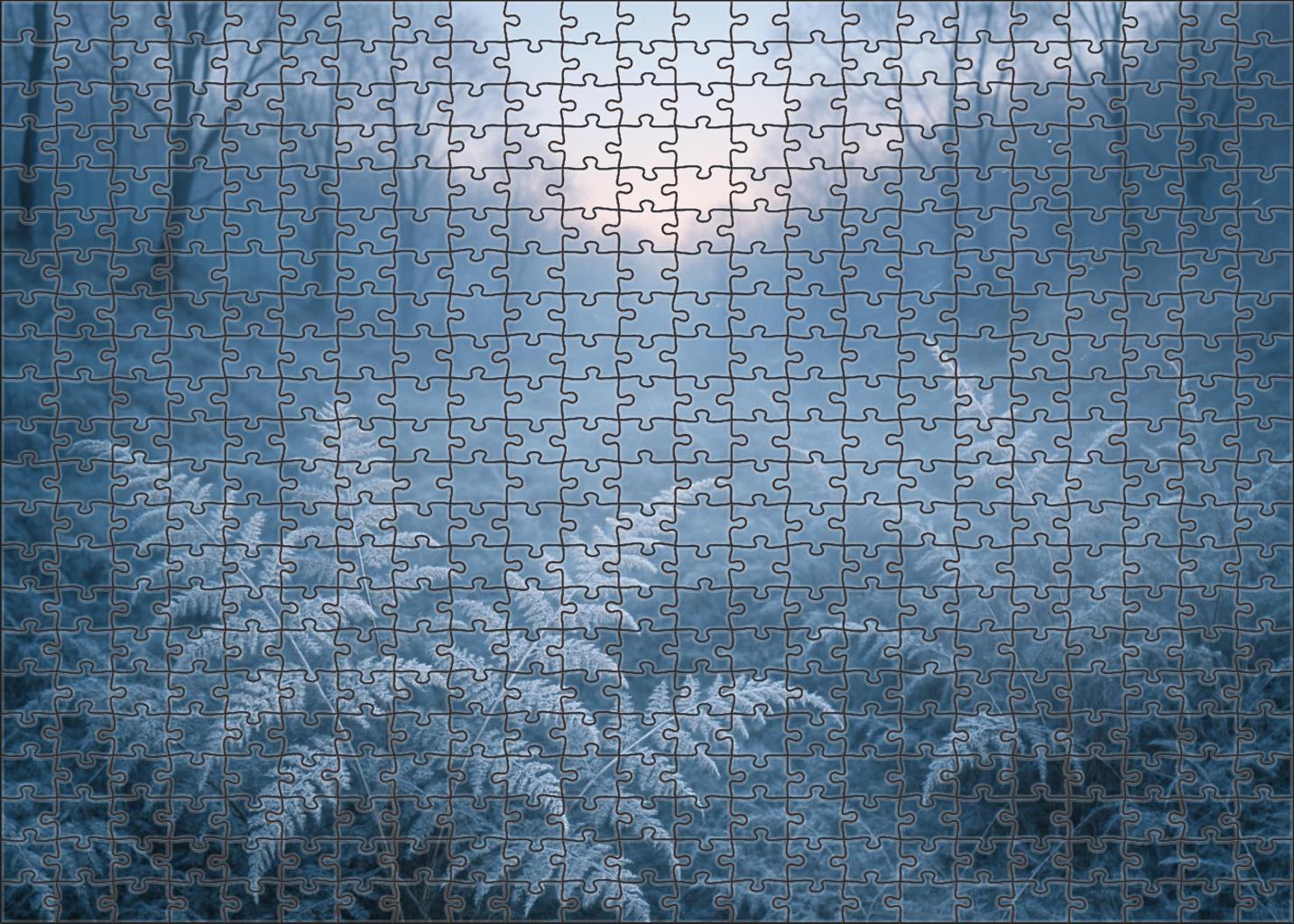Frosted Fern Hollow Unique Puzzle Design