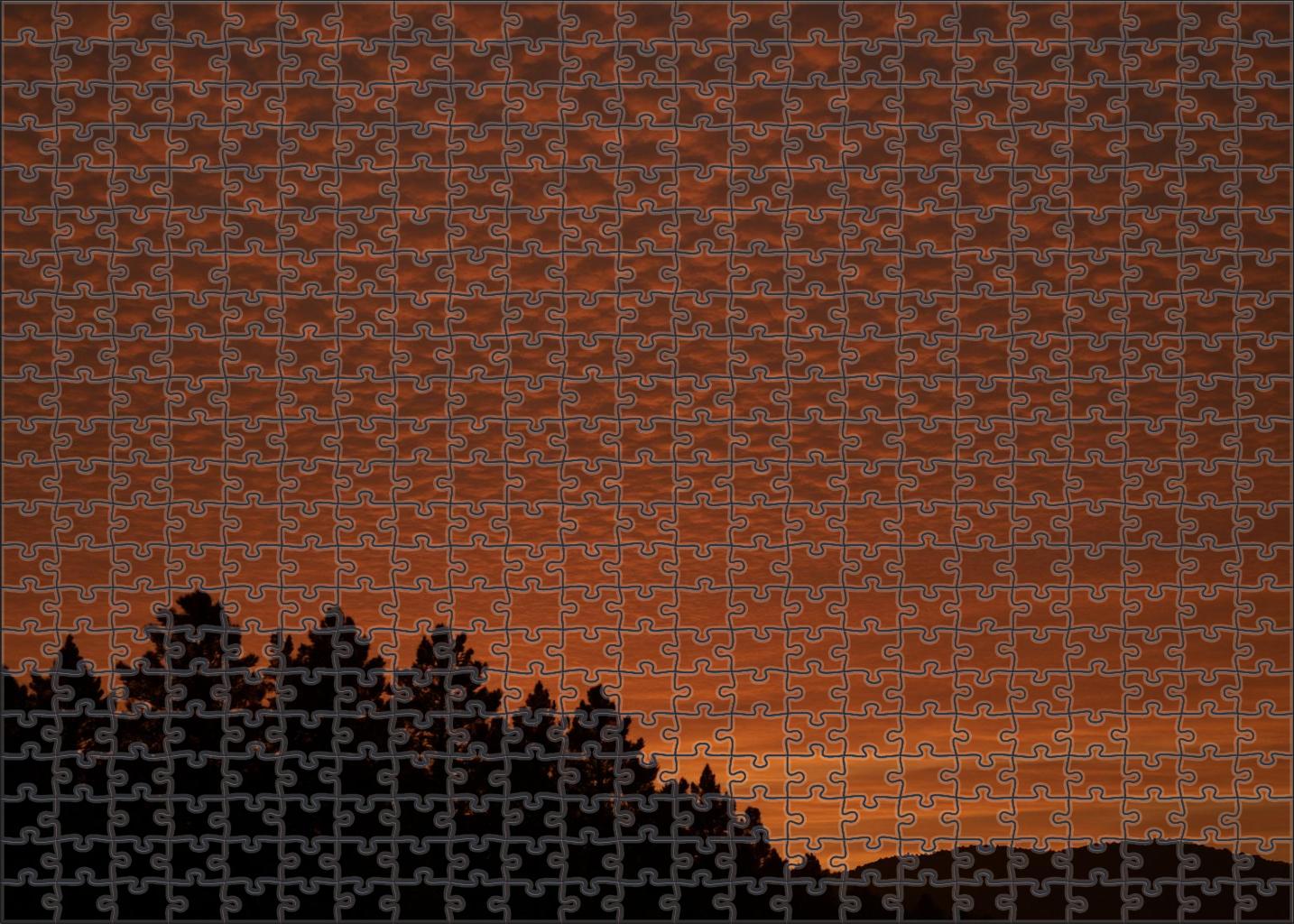 Copper Gleam Canopy Puzzle For Adults