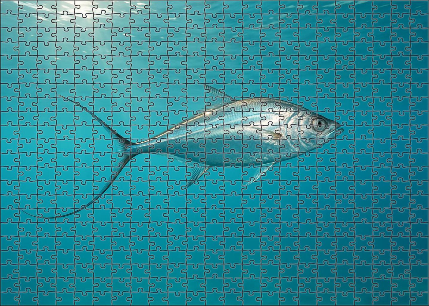 Silver Fin Whiptail Agile Open-water Predator 1000 Piece Puzzle