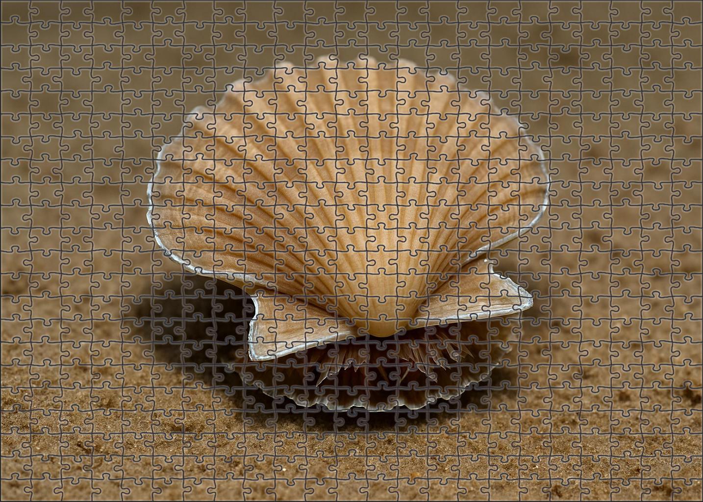 Silver Leaf Scallop Filter-feeding Mollusk With Reflective Shell Edges Mini Puzzle
