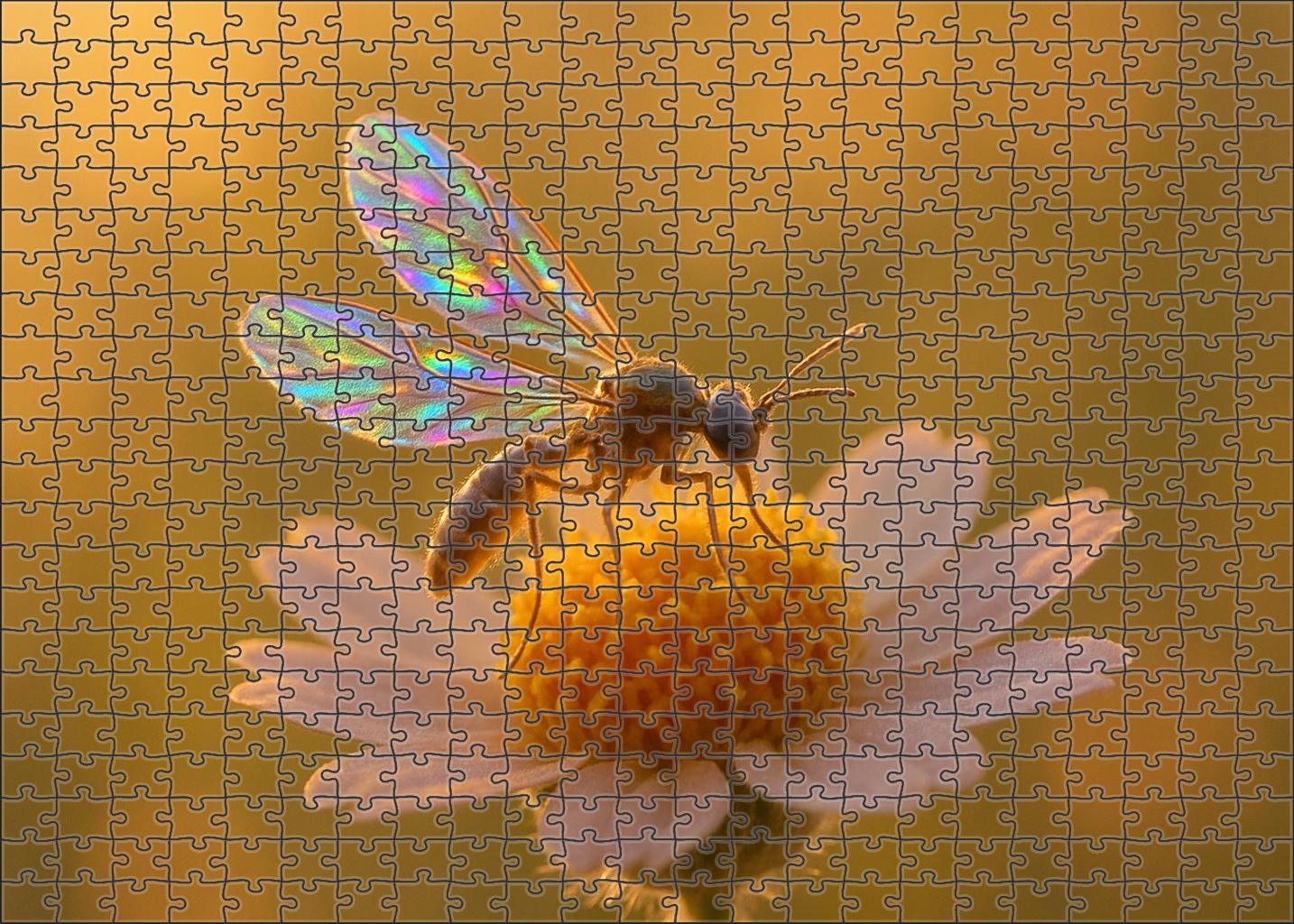 Celestial Glimmerwing Delicate Insect With Translucent Rainbow Wings Mini Puzzle