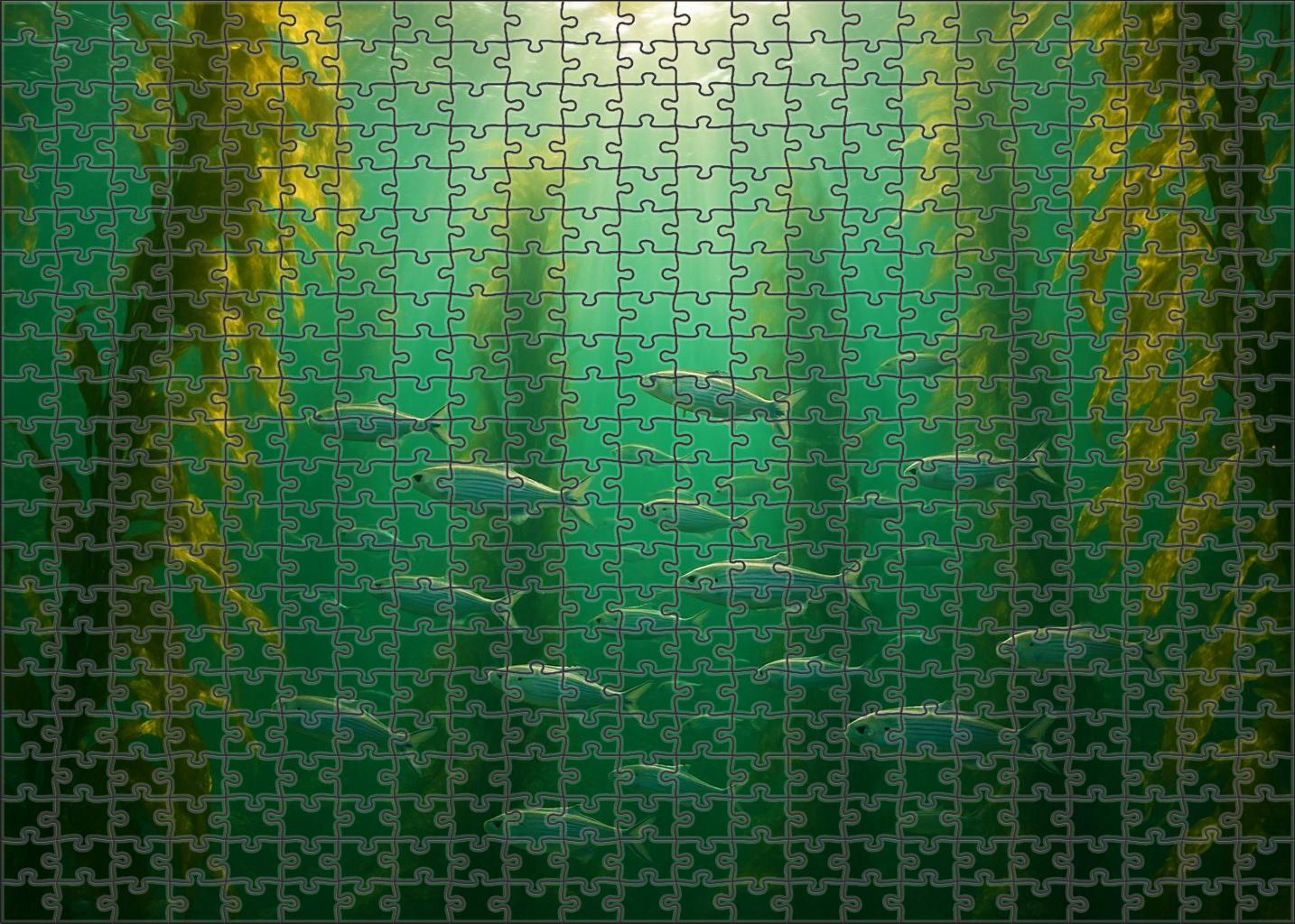 Sunlit Kelp Canopy Swirling Fronds In Shallow Epipelagic Flow 50 Piece Puzzle