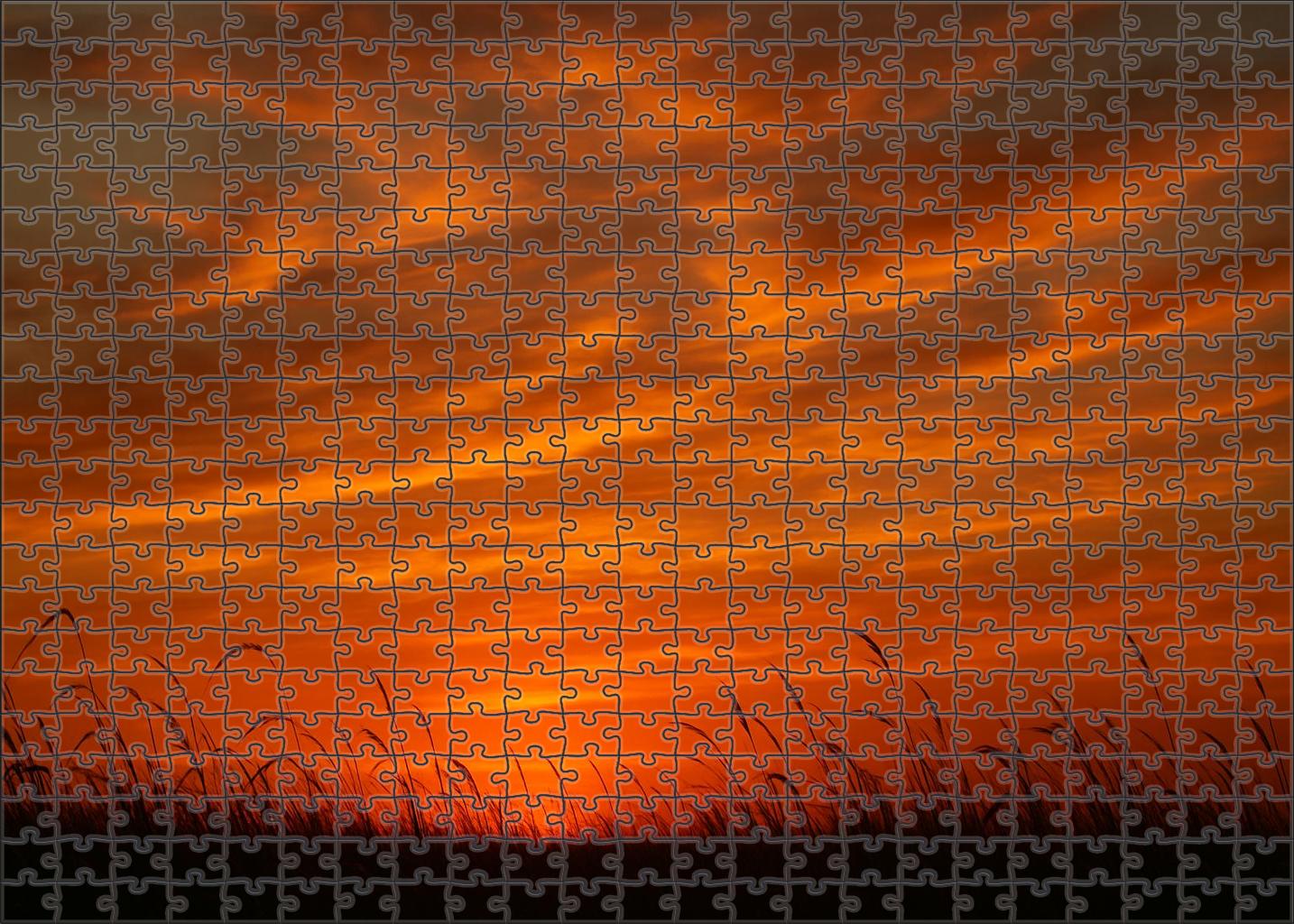 Velvet Marigold Horizon Challenging Puzzles