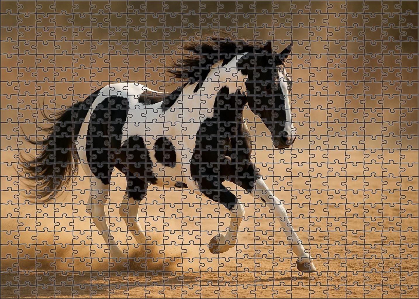 Shadow Glen Pinto Eye-catching Black And White Mare With Dynamic Flair Custom Jigsaw Puzzle