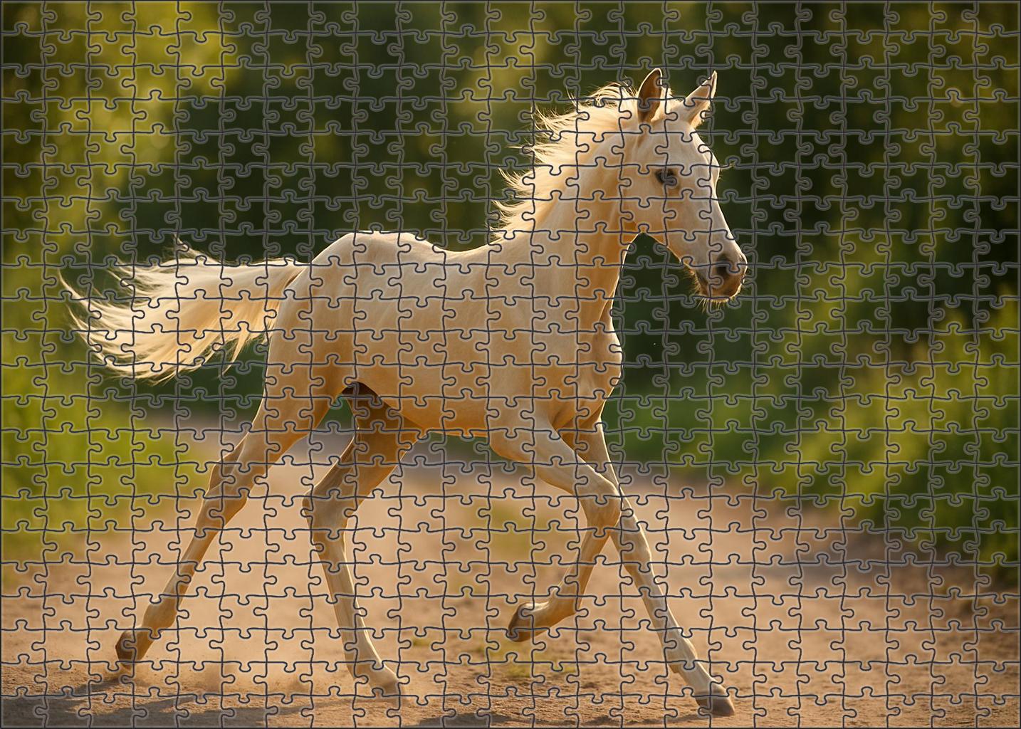 Ivory Star Runner Sleek Palomino Thoroughbred Colt 500 Piece Puzzle