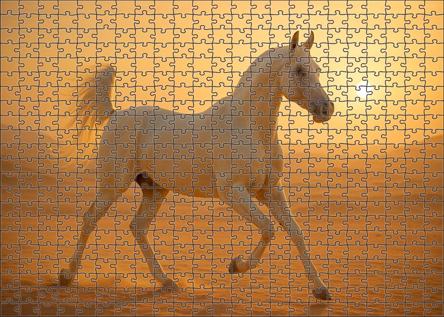 Ivory Silk Arabian Large Format Puzzle