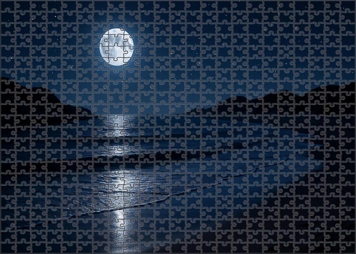Moonlit Shoreline Trail Puzzle Challenge