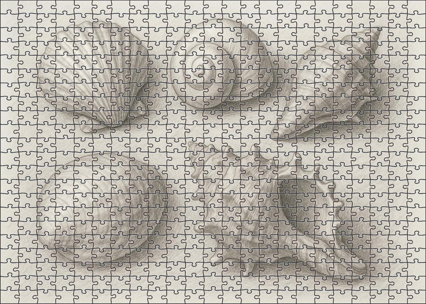 Seaside Shell Collection Textured Pencil Study With Tonal Gradients Challenging Puzzles