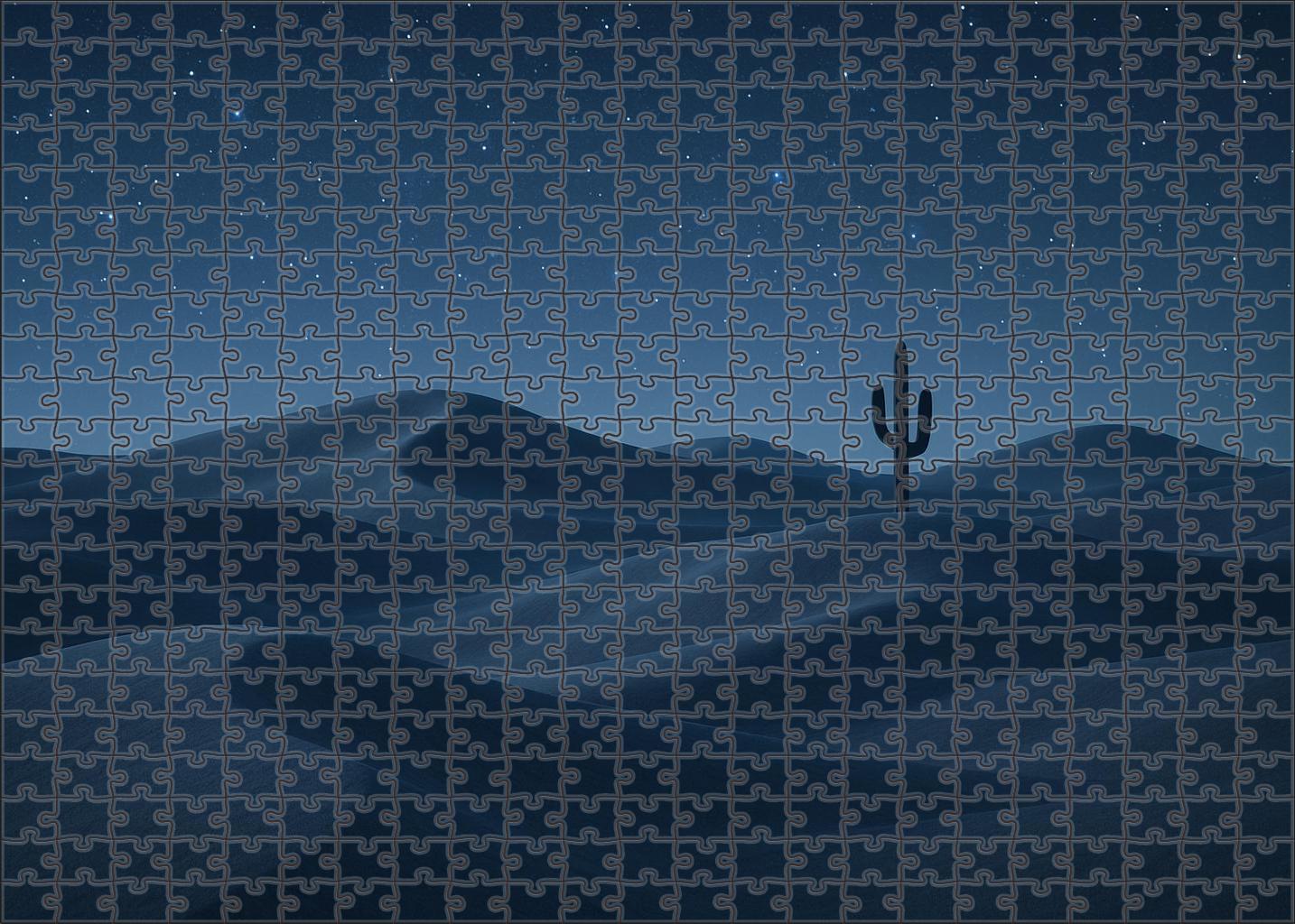 Moonlit Desert Expanse Challenging Puzzles