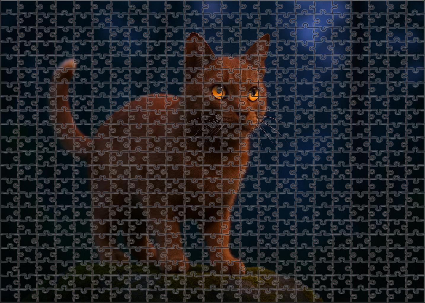 Copper Dusk 50 Piece Puzzle