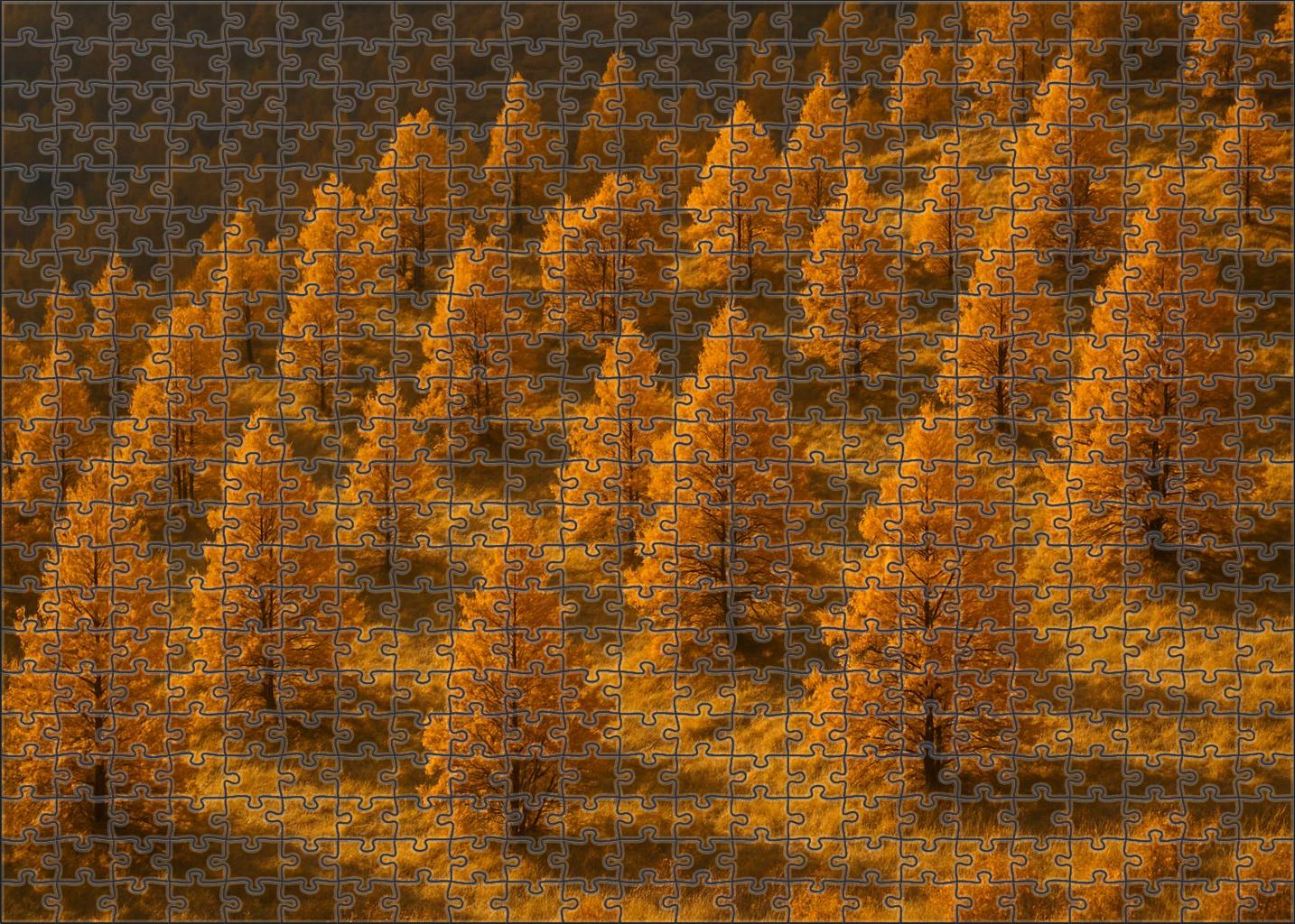 Golden Autumn Hillside Premium Puzzle Pieces