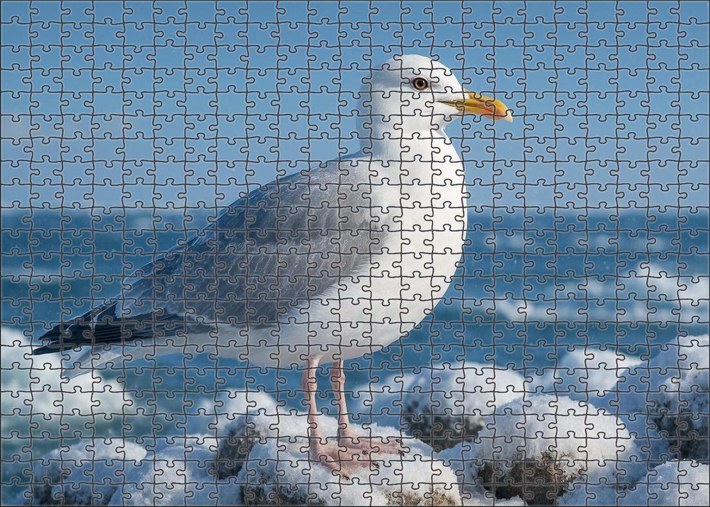 Glacier Gull The Stark Elegance Of Icy Shores Unique Puzzle Design