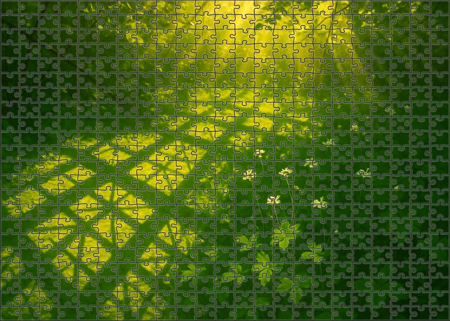 Sunlit Leaf Lattice Puzzle Collection