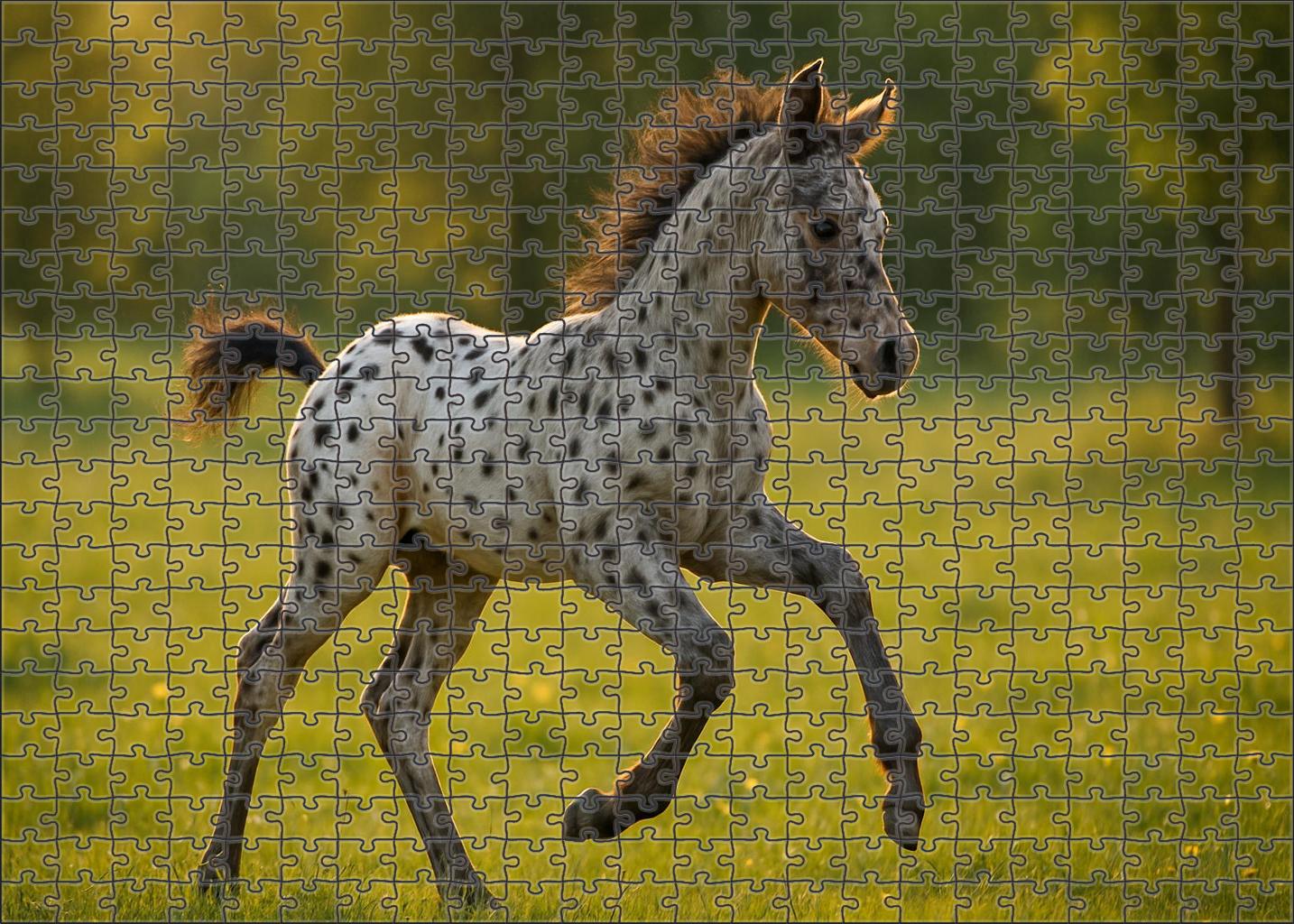 Mistwood Silver Flash Nimble Silver Dapple Appaloosa Colt With Sparkling Eyes 200 Piece Puzzle