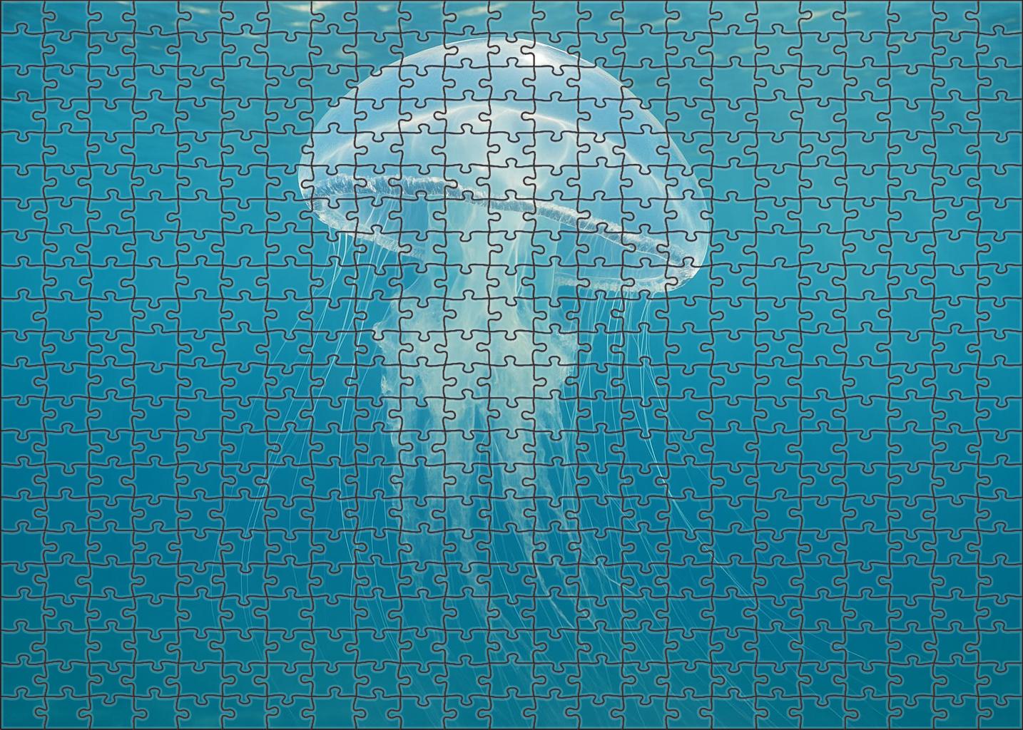 Silver Veil Jellyfish Graceful Pelagic Drifter Family Puzzles