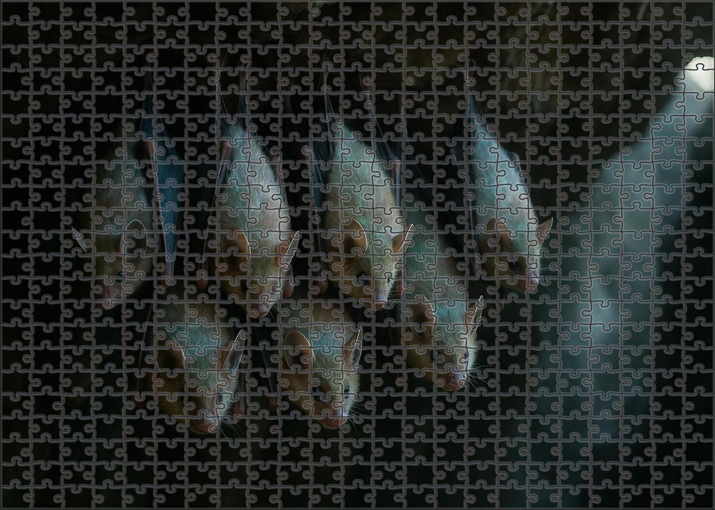 Pearlwing Bat Small Flying Mammal With Iridescent Fur And Echo-communication Custom Jigsaw Puzzle