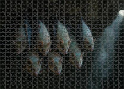 Pearlwing Bat Small Flying Mammal With Iridescent Fur And Echo-communication Custom Jigsaw Puzzle