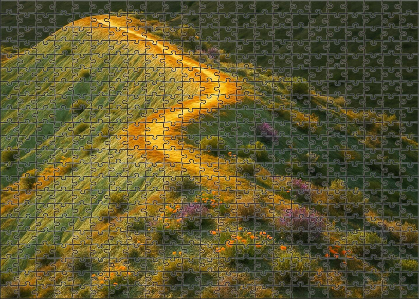 Golden Serpentine Ridge Puzzle Challenge