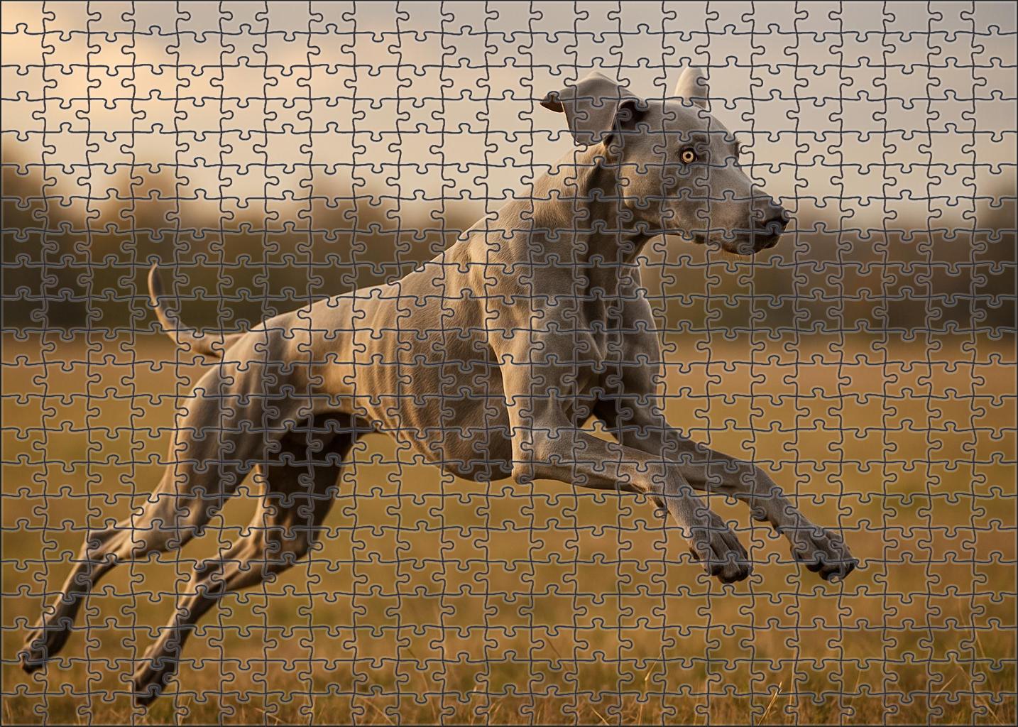 Silver Shadow Puzzle Challenge