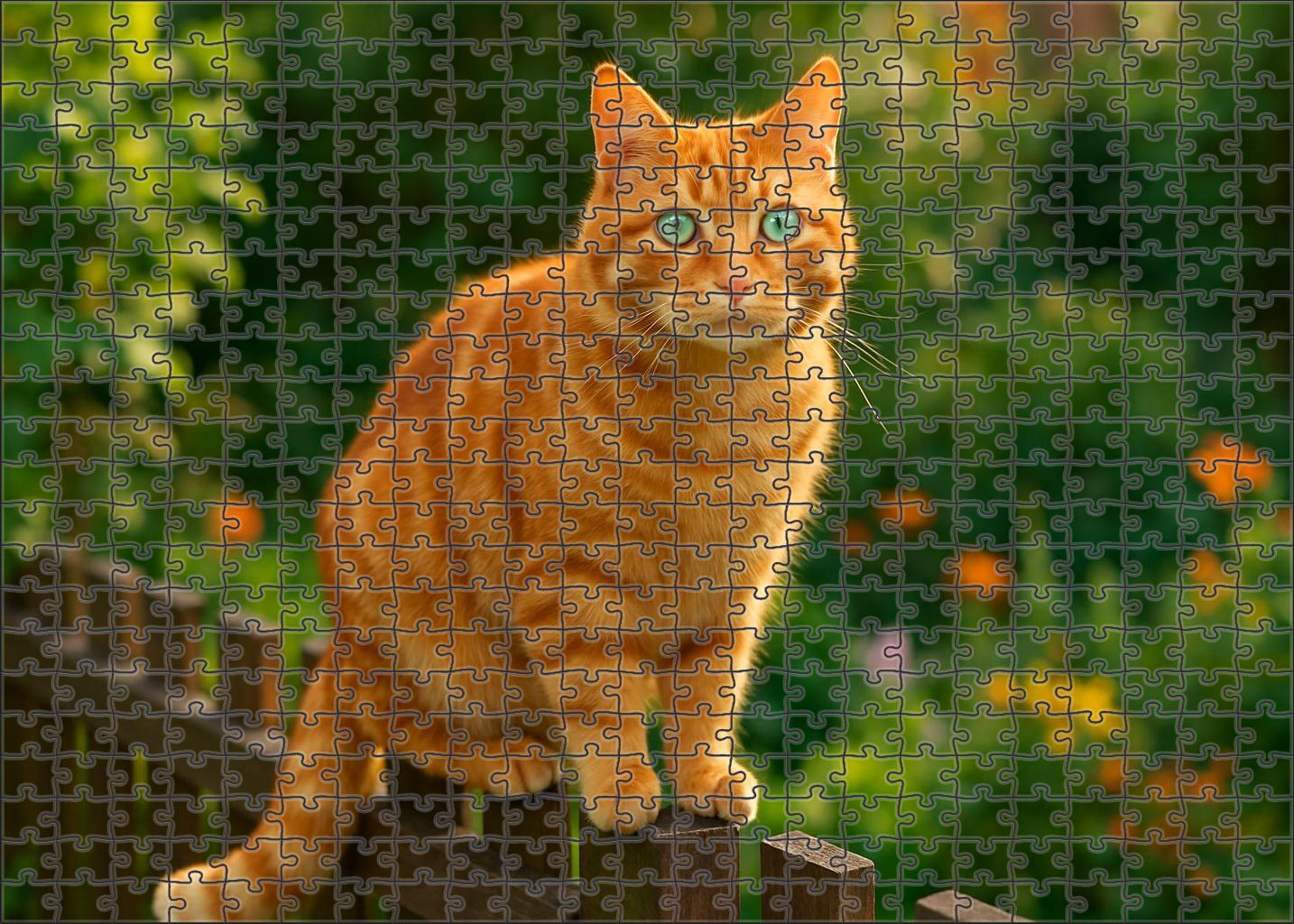 Ginger Sizzle Fiery Coat And Spirited Personality Puzzle Fun