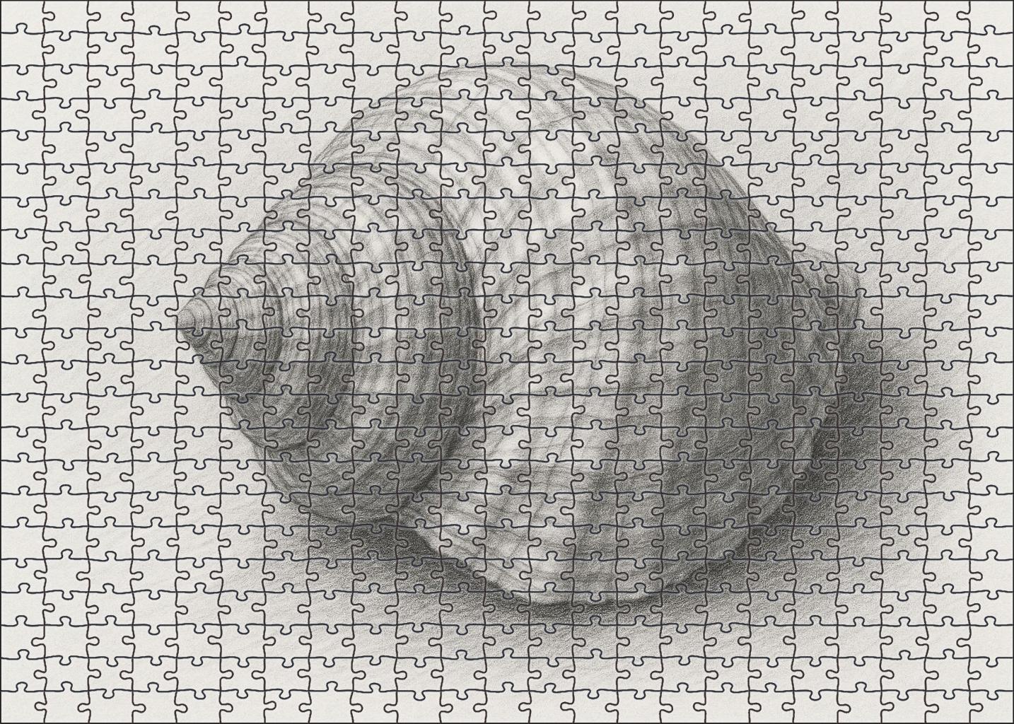 Intricate Shell Anatomy Detailed Graphite Scientific Study Puzzle Challenge