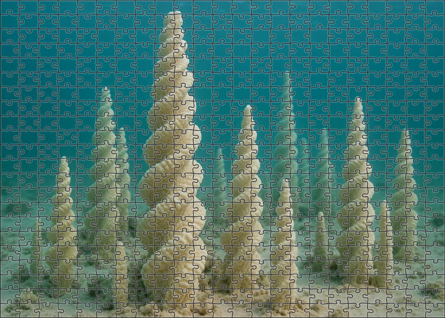 Ivory Spiral Coral Towering Architect Of Intricate Calcium Lattices Puzzle For Adults