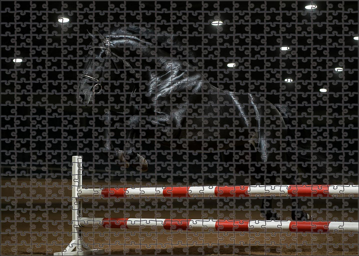Midnight Velvet Sleek Black Stallion With Dynamic Presence Puzzle For Adults