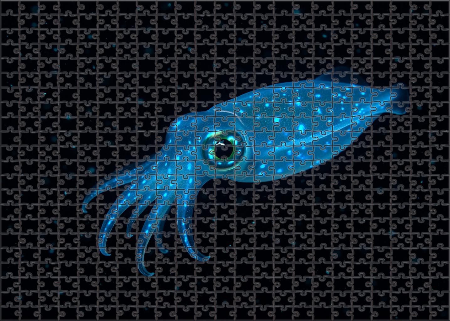 Glowing Phantom Squid Translucent Deep-sea Enigma Challenging Puzzles