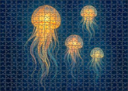 The Jellyfish Lantern Festival Puzzle Collection