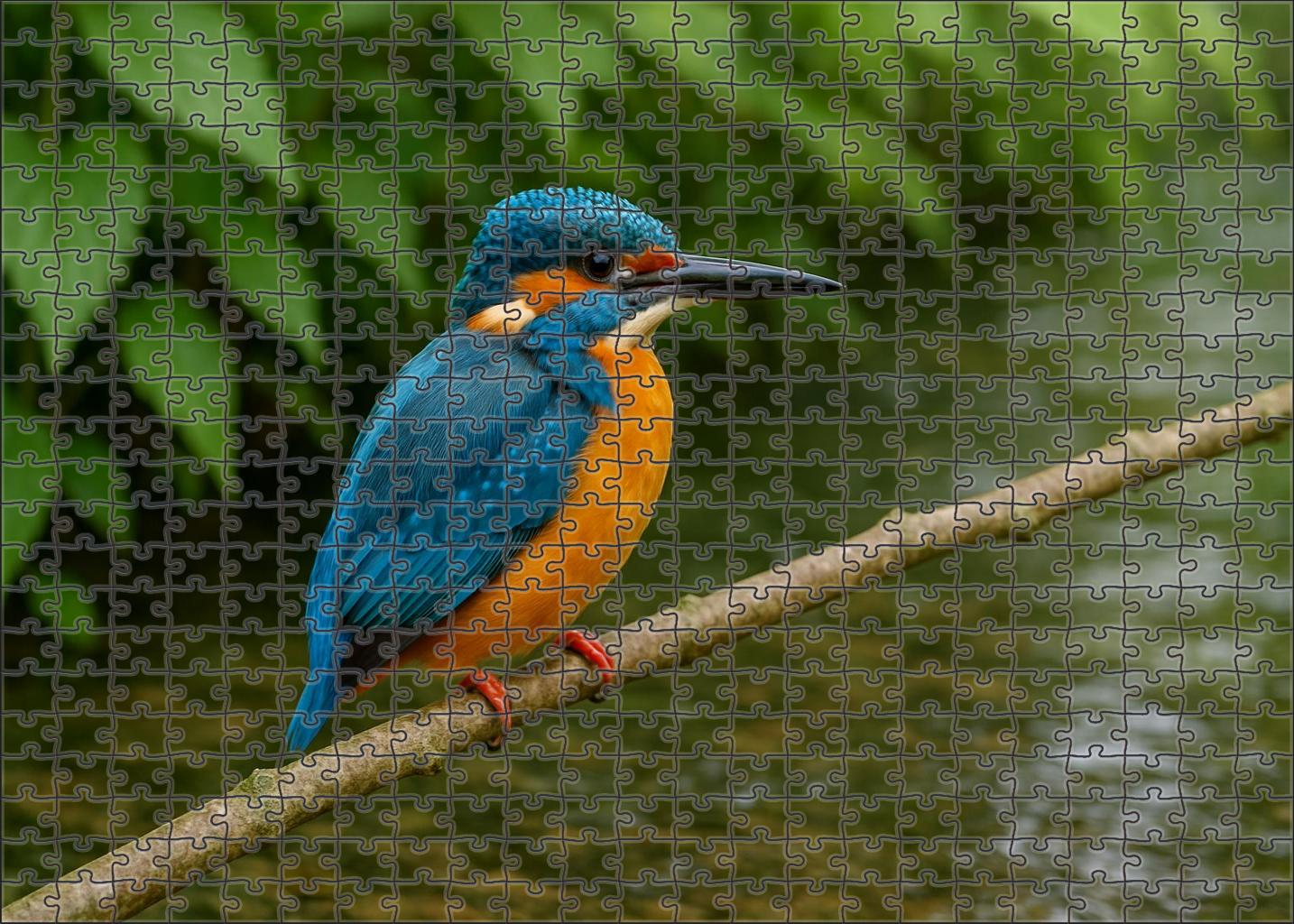 Azure Kingfisher Jewel Of The Rippling Streams Challenging Puzzles