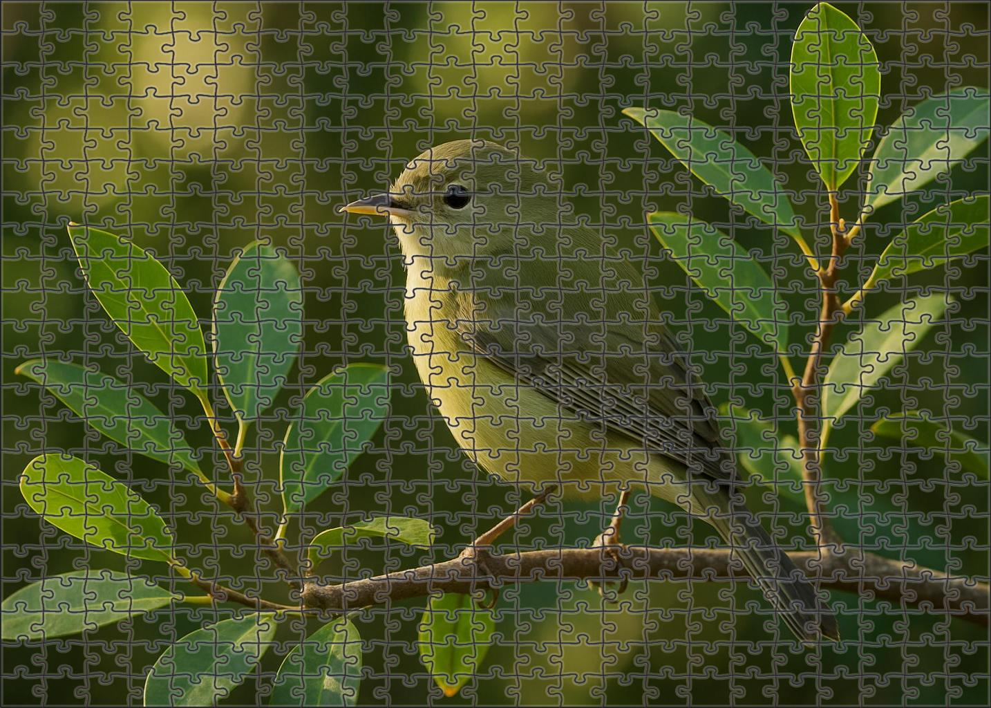 Mangrove Warbler Forest Edge Forager Large Format Puzzle