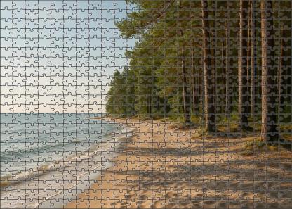 Secluded Pine Beach Mini Puzzle
