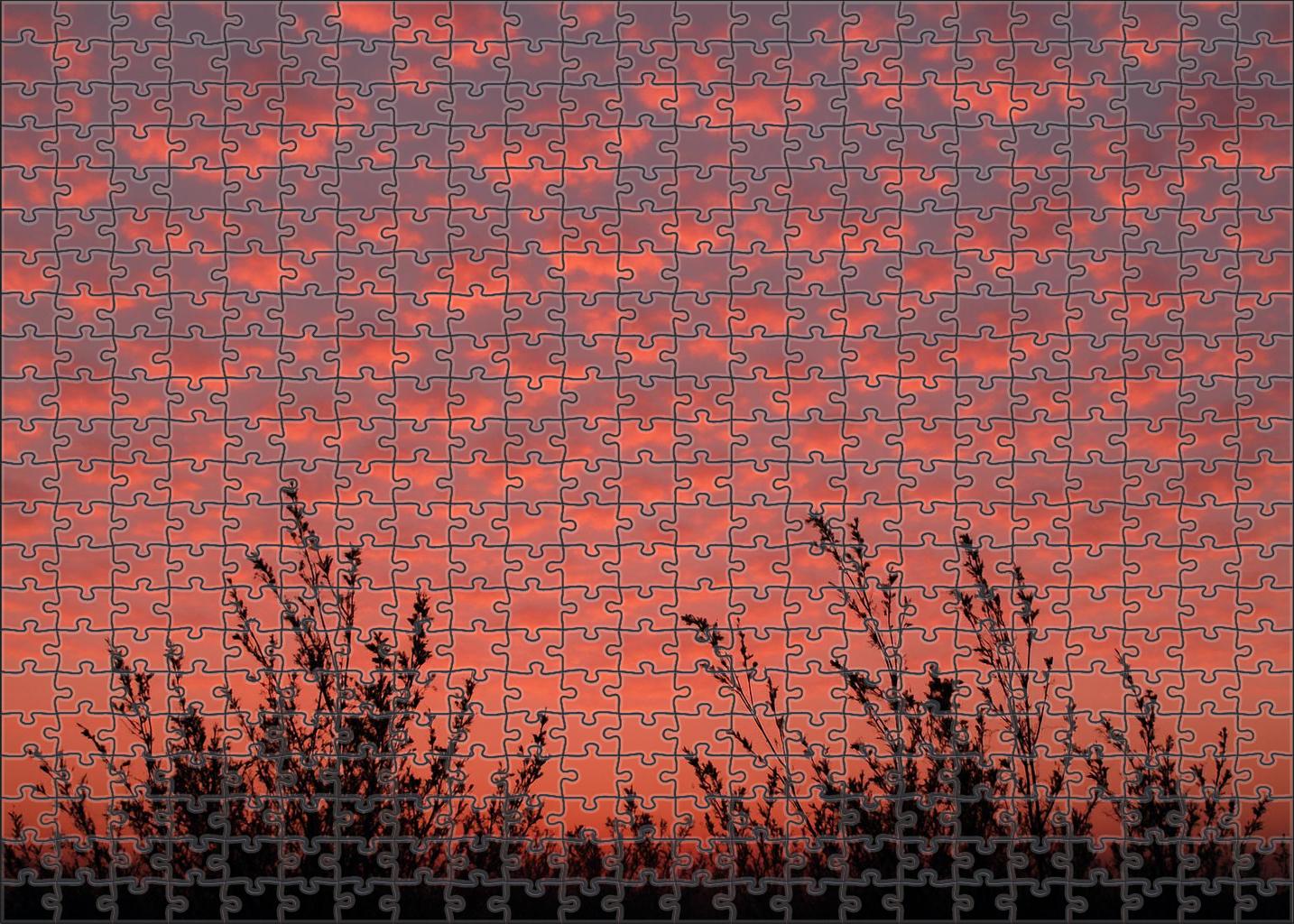 Twilight Coral Radiance Premium Puzzle Pieces